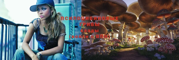 ALPHA-PVP Белокуриха