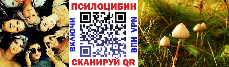 Псилоцибиновые грибы прущие грибы  Вичуга 